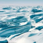 امریکا: انسانی ہونٹوں کی حرکت کی نقل کرنیوالا روبوٹ تیار