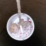 آئندہ سال کپاس کی کاشت میں مزید کمی کے خدشات