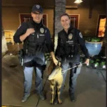 کینیڈا اور چین نئی شراکت داری سے ‘تاریخی’ فوائد حاصل کرنے کے لیے تیار، کارنی نے کہا