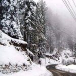 مونگ پھلی، گُڑ اور تل: سردیوں کی بہترین غذائیں