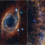 امریکی کوہ پیما نے 101 منزلہ عمارت بغیر حفاظتی آلات سر کرلی