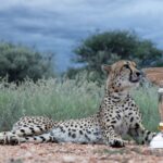 ایران پر امریکی حملے کے قوی امکانات، خطہ ہائی الرٹ پر، میڈیا رپورٹس