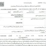 پاکستان کشمیریوں کیساتھ ہے، بھارت جس زبان میں بات کرے گا، اسی میں جواب دیں گے، وزیراعظم