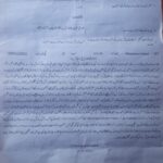 ماں سے جدا بندر پر آنسو، غزہ کے بچی پر خاموشی؟ دلخراش ویڈیو نے عالمی ضمیر کو جھنجھوڑ دیا