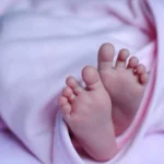 ٹیکنالوجی کے ذریعے انسانی مداخلت کم کرنا کرپشن روکنے کے لیے ضروری ہے، وزیرخزانہ