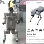 ایس آئی ایف سی کی کوششوں سے پاکستان میں توانائی کی پیداوار میں تاریخی اضافہ