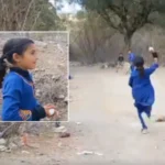 رشمیکا اور وجے کی شادی میں کترینہ اور وکی کوشل کی شادی سے کیا مماثلت ہے؟