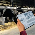 سینیٹ میں بانی پی ٹی آئی کی صحت سے متعلق قرارداد مسترد، اپوزیشن کا شدید احتجاج