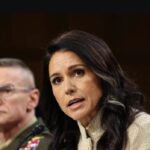 صدر مملکت نے پاکستان سٹیزن شپ سمیت اہم ترمیمی بلز کی منظوری دیدی