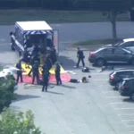 فریقین جنگ بندی برقرار رکھیں، پاکستان سفارتی کوششیں جاری رکھے گا، اسحاق ڈار