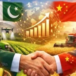اسلام آباد ہائیکورٹ: بشریٰ بی بی سے فیملی ملاقات، ذاتی معالج تک رسائی کی درخواست پر فیصلہ جاری