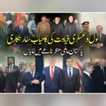 پی ایس ایل 11 میں نئی ٹیموں کی شمولیت سے آمدنی 7.5 ارب روپے سے تجاوز کرگئی