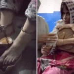 صدرِ مملکت نے وزیراعظم کی سفارش پر تین سمریوں کی منظوری دے دی