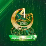 کھانے میں نمک زیادہ ہوجائے تو ذائقہ کیسے بہتر کریں؟